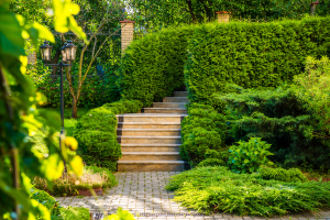Garten und Landschaftsbau Bayat GmbH 4
